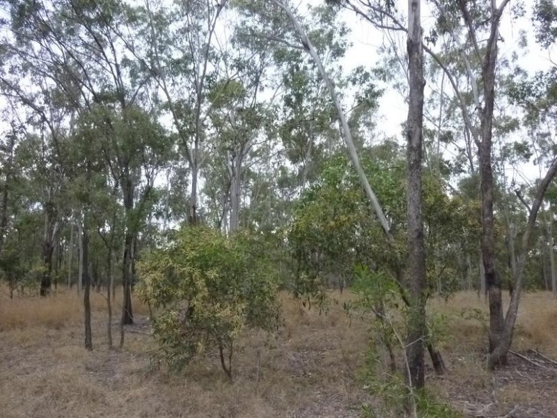 Lot 11,  Mt Woowoonga Road, Woowoonga QLD 4621