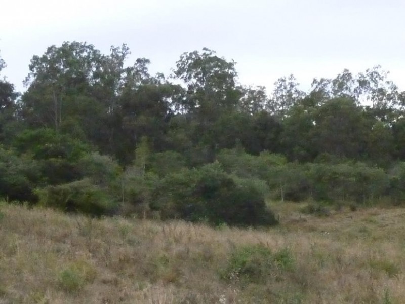 Lot 11,  Mt Woowoonga Road, Woowoonga QLD 4621