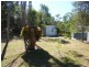 147 Jacksons Road, South Isis QLD 4660