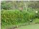 147 Jacksons Road, South Isis QLD 4660