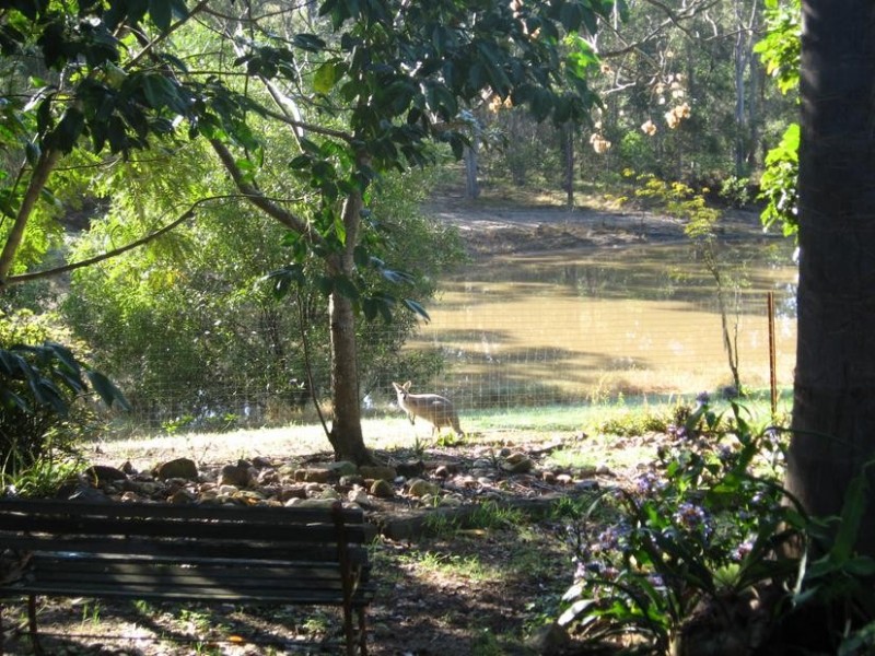 147 Jacksons Road, South Isis QLD 4660
