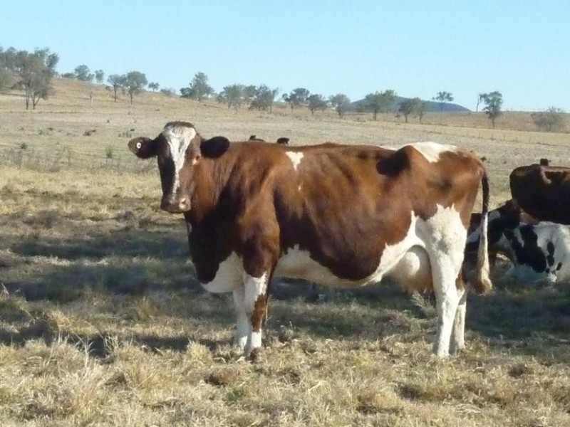376 OLD COACH ROAD, Biggenden QLD 4621