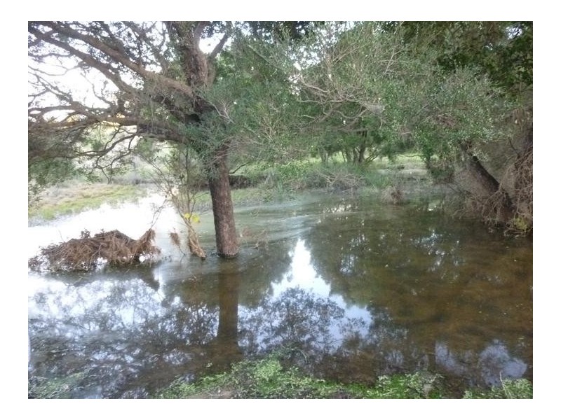 Lot 144,  EMU CREEK ROAD, Dallarnil QLD 4621