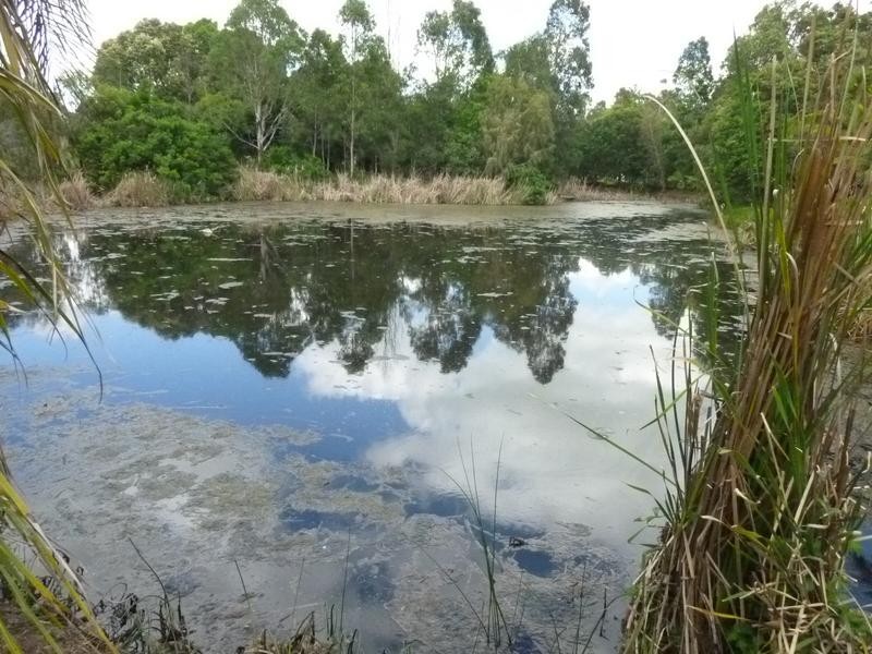Lot 8 & 2,  NORTH ISIS ROAD, North Isis QLD 4660
