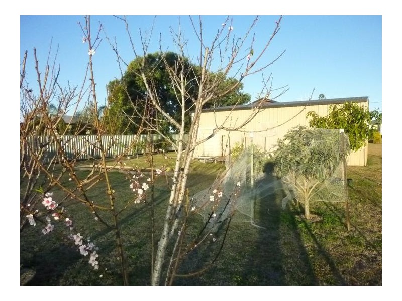 12 KIMBER STREET, Biggenden QLD 4621