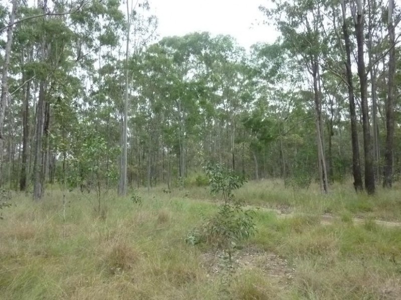 39 NORTH SOUTH ROAD, Apple Tree Creek QLD 4660