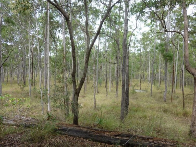 39 NORTH SOUTH ROAD, Apple Tree Creek QLD 4660