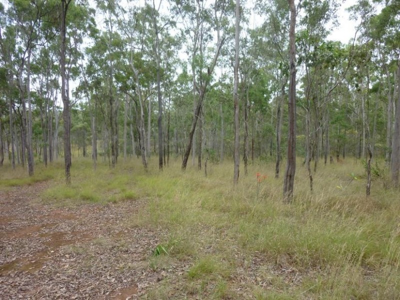 39 NORTH SOUTH ROAD, Apple Tree Creek QLD 4660