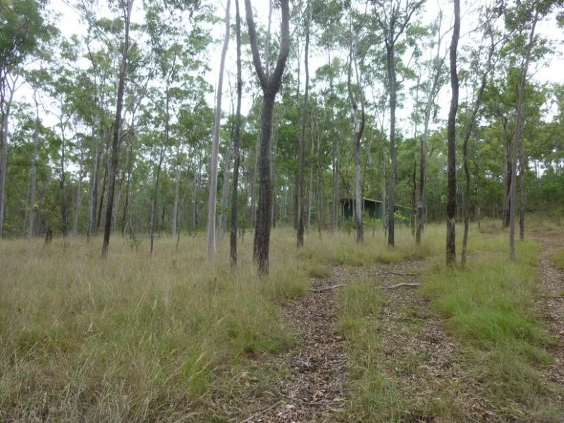 39 NORTH SOUTH ROAD, Apple Tree Creek QLD 4660