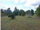 38 GOLCHERTS ROAD, Horton QLD 4660