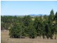 38 GOLCHERTS ROAD, Horton QLD 4660
