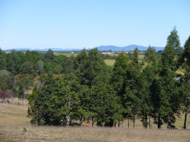 38 GOLCHERTS ROAD, Horton QLD 4660