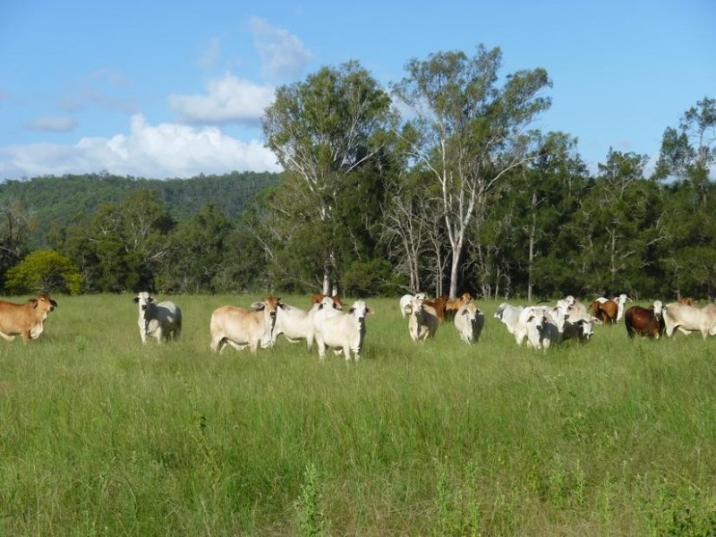 ISIS HIGHWAY, Coalstoun Lakes QLD 4621