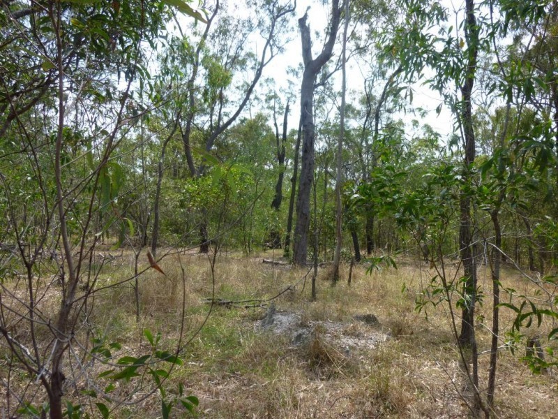 371 Guppys Road, Eureka QLD 4660