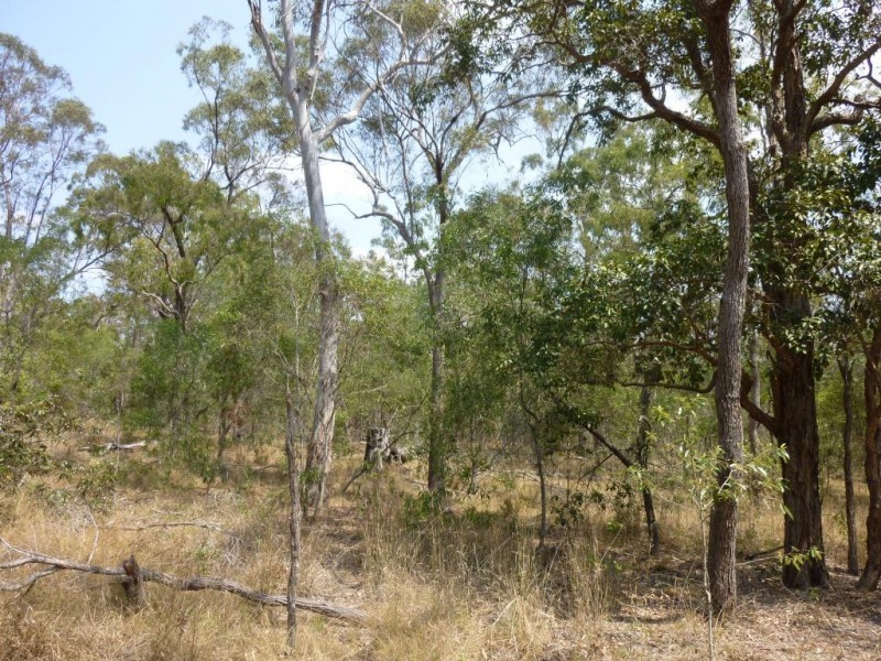 371 Guppys Road, Eureka QLD 4660