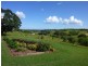 Apple Tree Creek QLD 4660