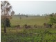 Lot 147, WILSON VALLEY ROAD, Coalstoun Lakes QLD 4621