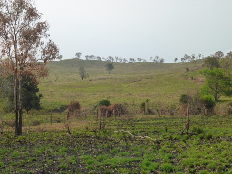 Lot 147, WILSON VALLEY ROAD, Coalstoun Lakes QLD 4621