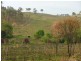Lot 147, WILSON VALLEY ROAD, Coalstoun Lakes QLD 4621