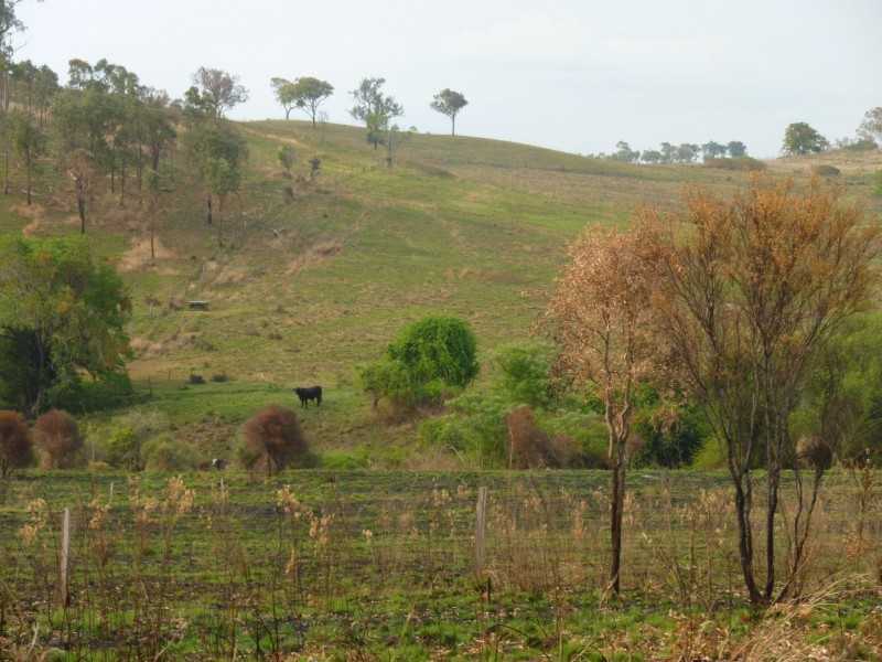 Lot 147, WILSON VALLEY ROAD, Coalstoun Lakes QLD 4621