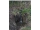 Lot 147, WILSON VALLEY ROAD, Coalstoun Lakes QLD 4621