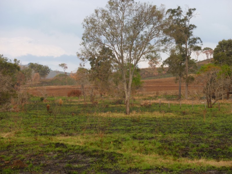 Lot 147, WILSON VALLEY ROAD, Coalstoun Lakes QLD 4621