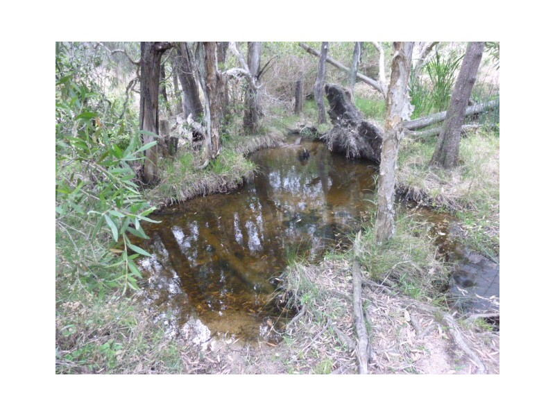 Lot 2,  JUNCTION MOUNTAIN ROAD, South Isis QLD 4660