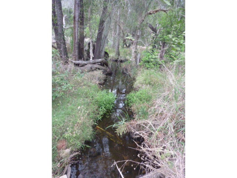 Lot 2,  JUNCTION MOUNTAIN ROAD, South Isis QLD 4660