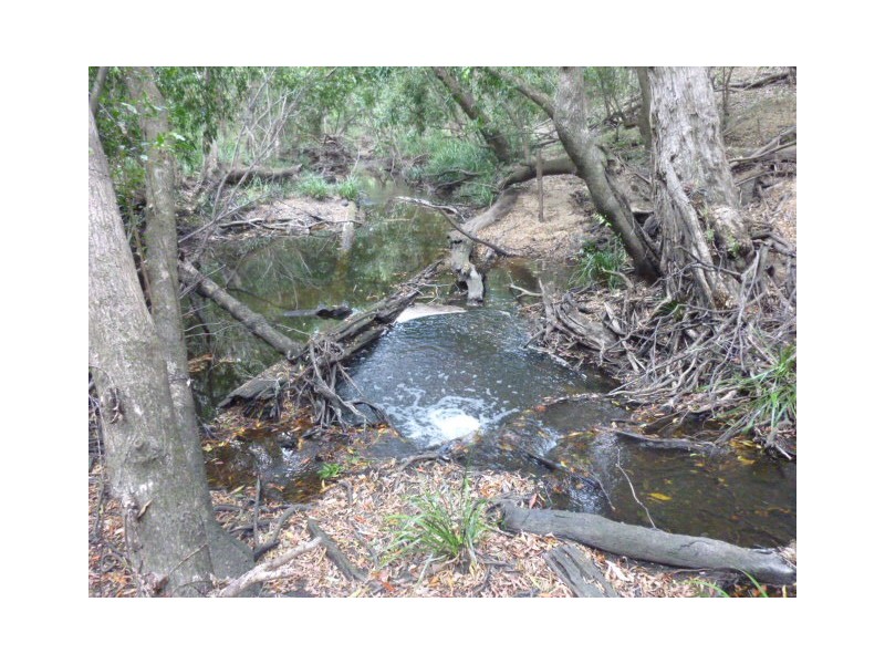 Lot 41, COOKS ROAD, South Isis QLD 4660