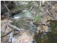 Lot 41, COOKS ROAD, South Isis QLD 4660