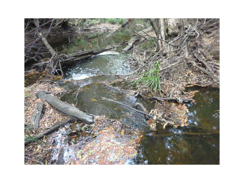 Lot 41, COOKS ROAD, South Isis QLD 4660