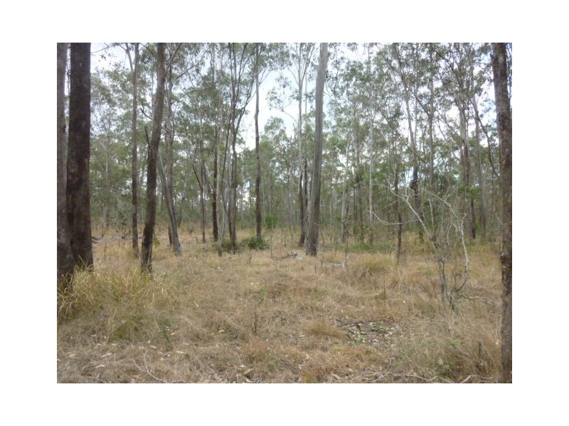 Lot 41, COOKS ROAD, South Isis QLD 4660