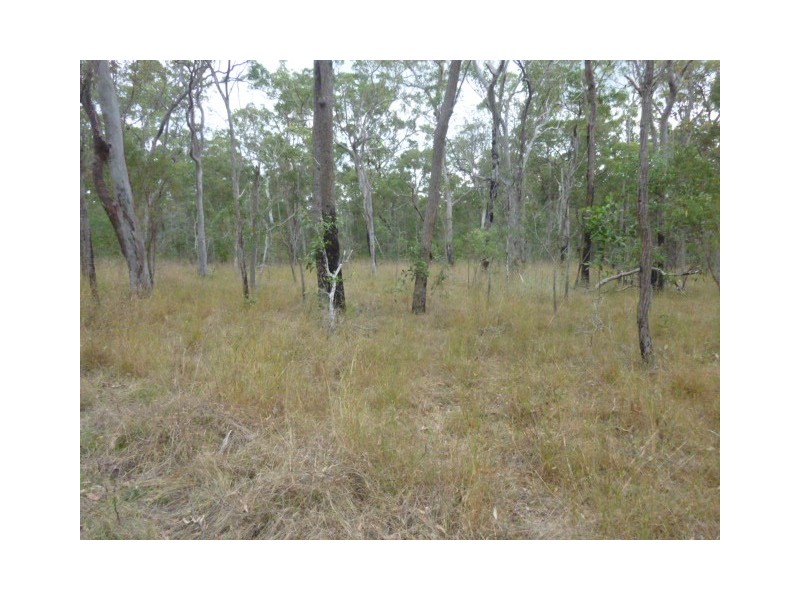 Lot 41, COOKS ROAD, South Isis QLD 4660
