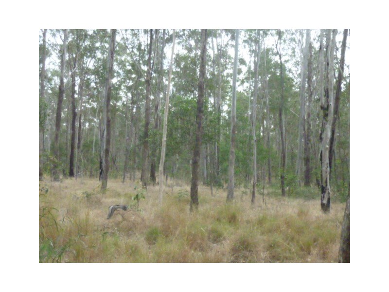 Lot 41, COOKS ROAD, South Isis QLD 4660