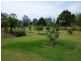 35 TYNDALL STREET, Apple Tree Creek QLD 4660