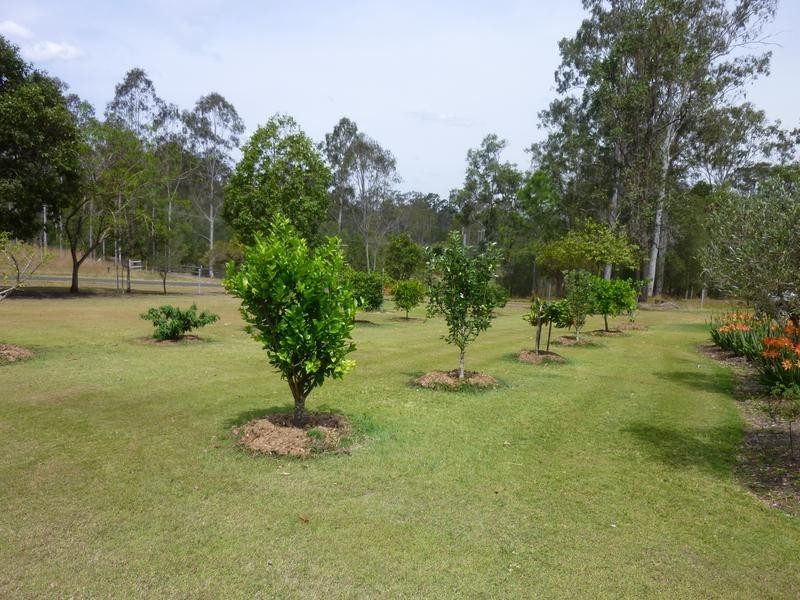 35 TYNDALL STREET, Apple Tree Creek QLD 4660