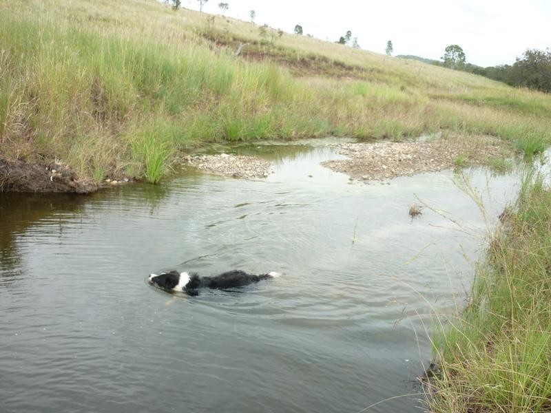 120 BOOYAL-DALLARNIL ROAD, Dallarnil QLD 4621