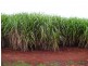 70 SWANTONS ROAD, Cordalba QLD 4660
