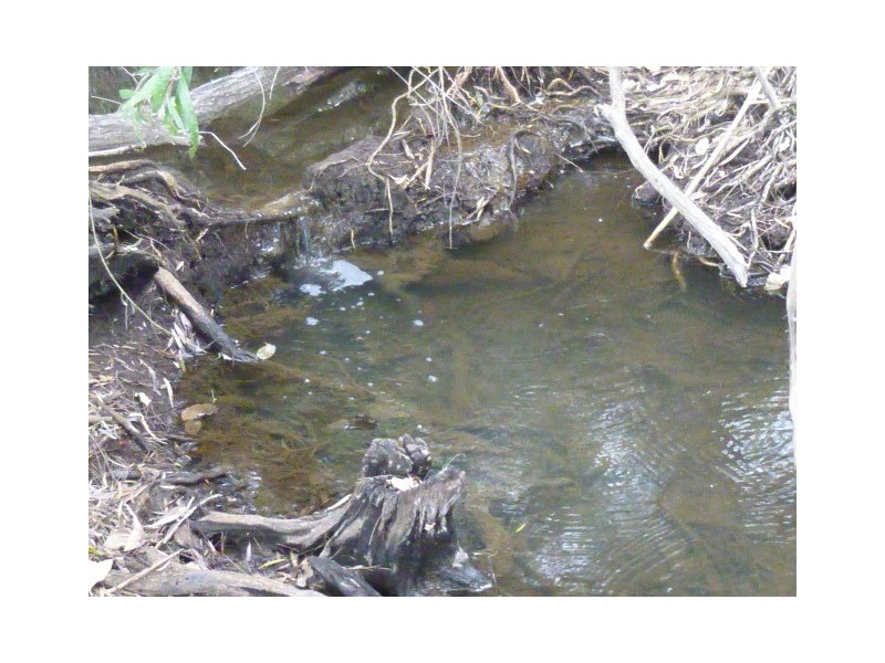 Lot 65,  WOOWOONGA HALL ROAD, Woowoonga QLD 4621