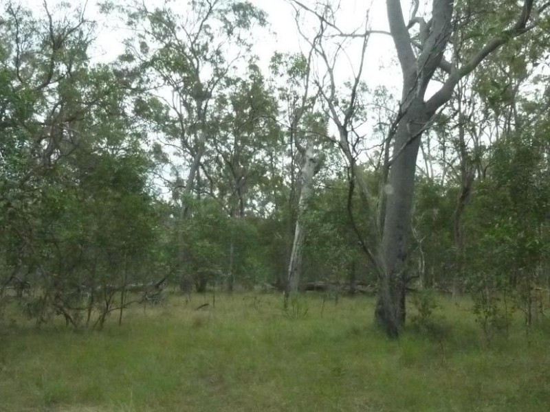 1209 DUCKINWILLA ROAD, Duckinwilla QLD 4650