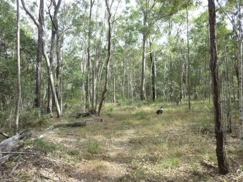 1209 DUCKINWILLA ROAD, Duckinwilla QLD 4650