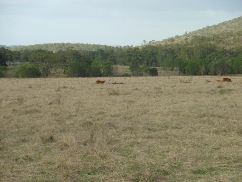 331 WARRA ROAD, DIDCOT, Biggenden QLD 4621