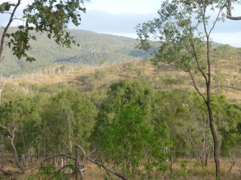 331 WARRA ROAD, DIDCOT, Biggenden QLD 4621
