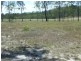 3 Eucalypt Court, Apple Tree Creek QLD 4660