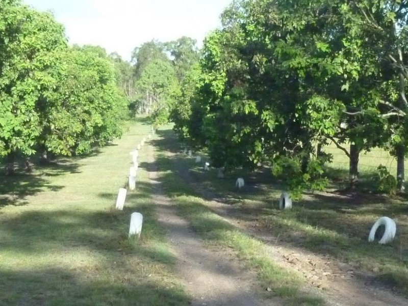 128 WOOWOONGA HALL ROAD, Woowoonga QLD 4621