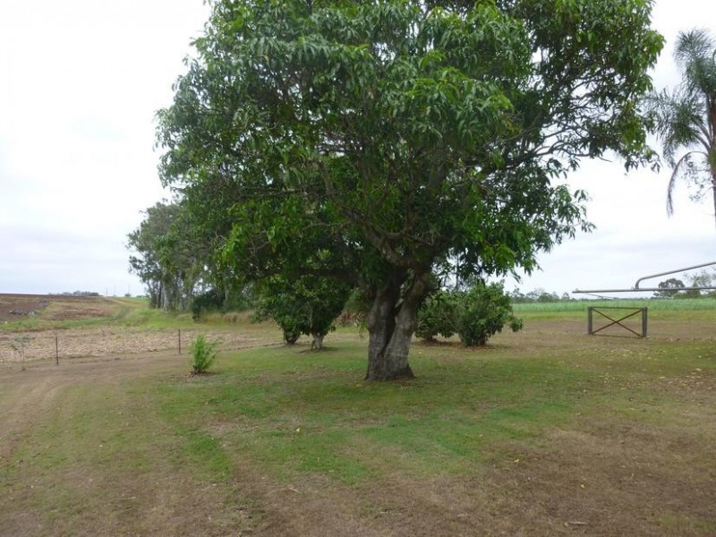109 PROMISEDLAND ROAD, Cordalba QLD 4660