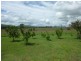 716 CORINGA ROAD, Coringa QLD 4621