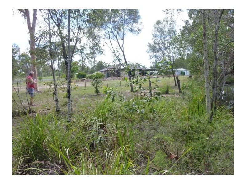 11 MELELEUCA COURT, Redridge QLD 4660