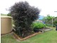 10 Canecutter Court,, Childers QLD 4660