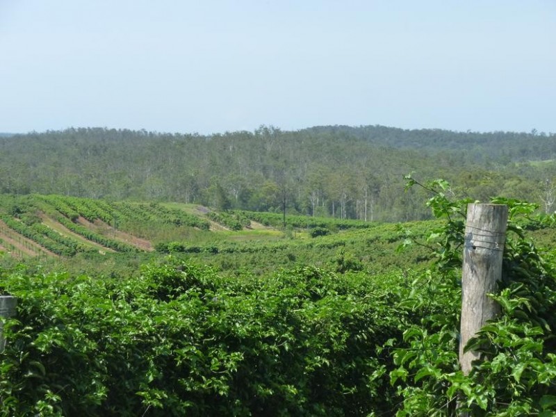 Gin Gin QLD 4671